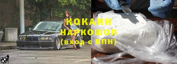 стаф Алзамай