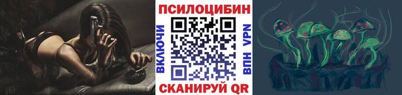 Галлюциногенные грибы Psilocybe  дарнет шоп  Алексеевка 