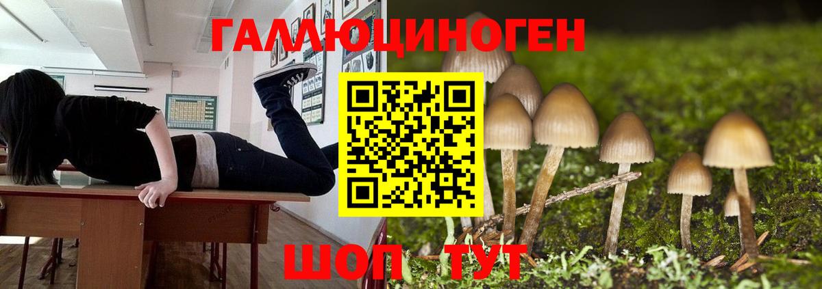 Псилоцибиновые грибы мухоморы  Вход с VPN  Алексеевка 