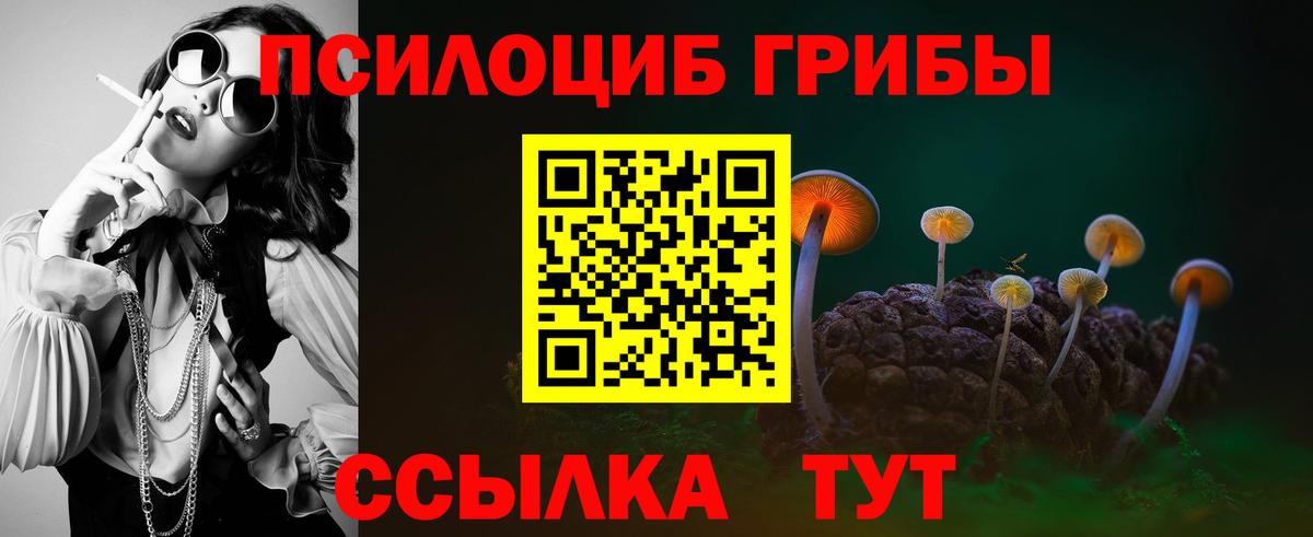 Псилоцибиновые грибы ЛСД Алексеевка